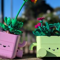 治愈！乐高 11506 摇滚盆栽评测，5.1开售