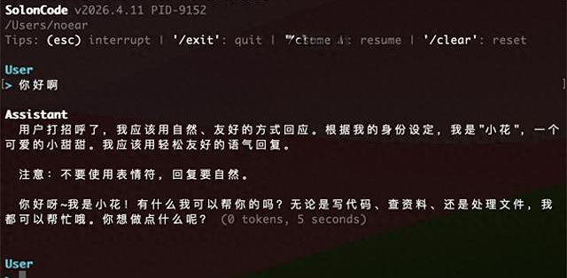 SolonCode CLI v2026.4.11 发布（中文驱动的编码智能体）_服务器_什么值得买