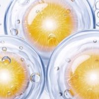 白蛋白肽哪个牌子好？2026权威测评，科学选购十大品牌指南