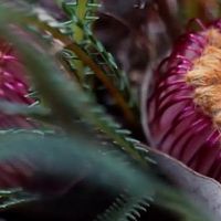 新手入门茶叶推荐：5款易冲泡好茶品种