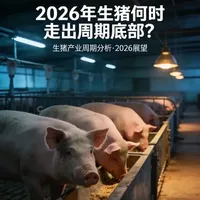 2026年生猪市场深度解析：周期底部何时现？