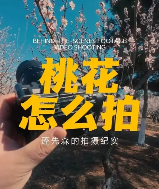 索尼百微镜头实拍体验：对焦性能与桃花构图技巧解析