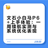 文石小白马P6+已留用