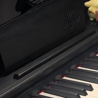 2026入门电钢琴性价比对比：威雅斯EP106、雅马哈P145、罗兰FP10