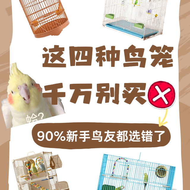 新手鸟友别再踩坑啦！鸟笼真的不能随便选