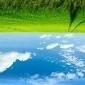 春季宠物换毛护理全攻略