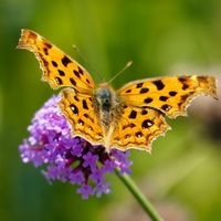 你真的需要一台微单相机吗？谈谈我3年多的微单使用感受