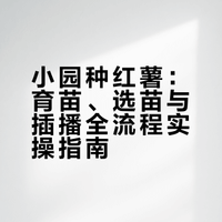 小园种红薯：9条技巧，秧苗自育+挑选+插播一次说全