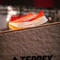 Terrex 被严重低估的独行者