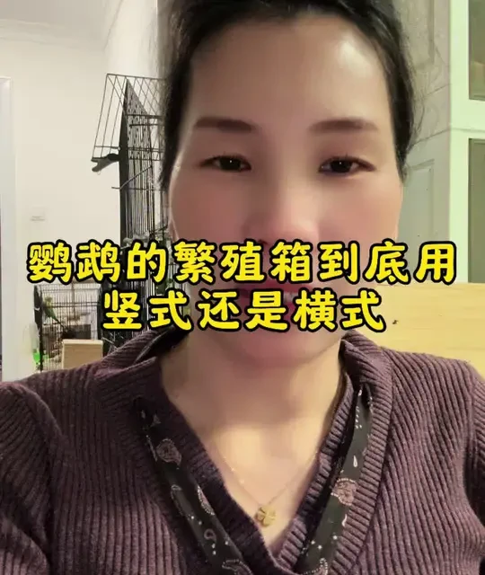 鹦鹉繁殖箱选择与使用指南