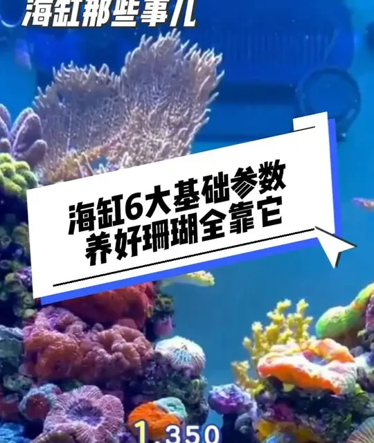 海缸六大核心水质参数指南：安全范围与异常处理