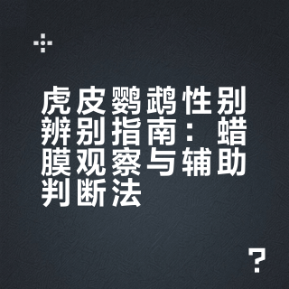 🔍 虎皮鹦鹉性别辨别指南(蜡膜辨别法）