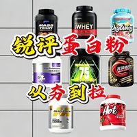 【蛋白粉推荐】2026年热门蛋白粉大盘点，从夯到拉依次锐评。蛋白粉推荐2026
