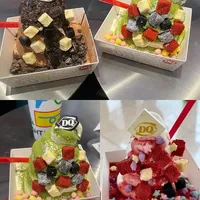 dq圣诞树🎄系列大测评