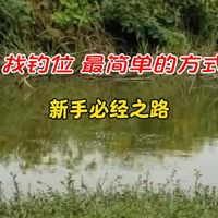 野钓找钓位其实很简单，五看，钓鱼新手必经之路