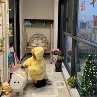 装修瞎跟风，阳台坚持做了这5个“设计”，入住后简直太香了！