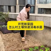 开荒新菜园土壤消毒杀菌的四步法