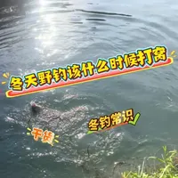 冬钓野鲫鱼：这4种情况千万别打窝