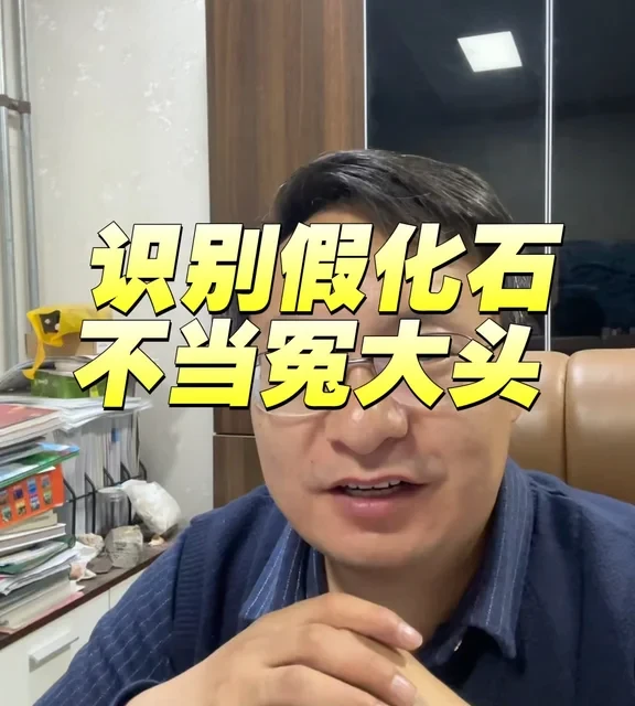 识别假化石 不当冤大头 购买化石避坑指南