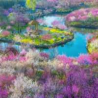 2026年扬州12处“神仙机位”曝光，每月都值得冲～