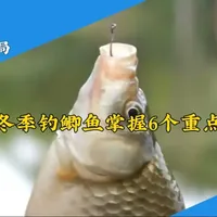 冬季钓鲫鱼六要素：技巧与实操全解析