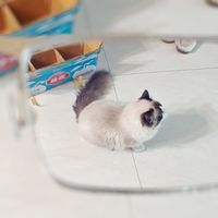 蔡司极光膜似乎没啥用——还是从依视路回归了蔡司