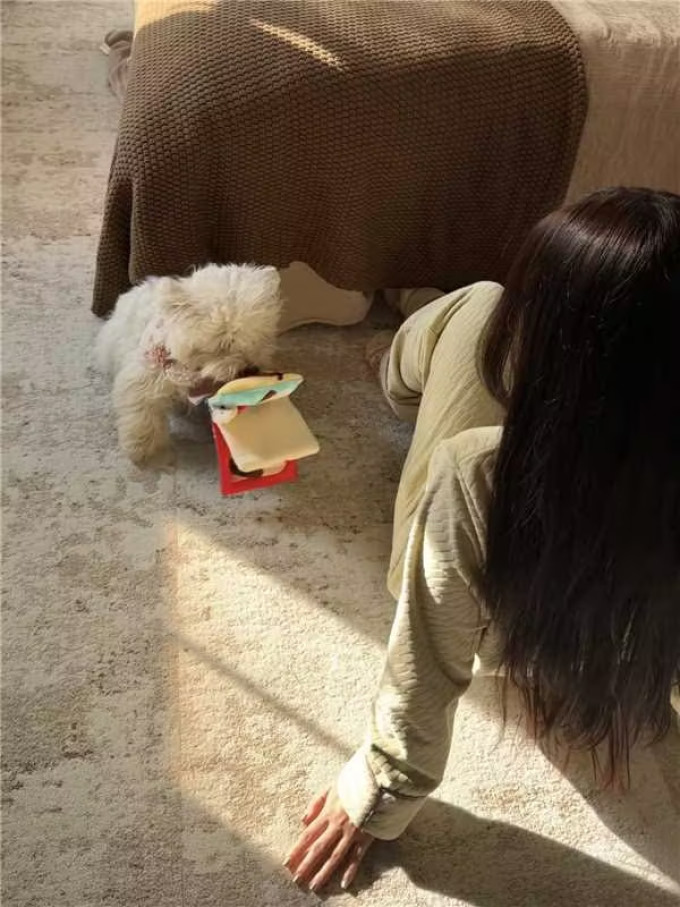 布艺毯类
