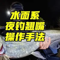 夜钓水面系翘嘴技术详解：慢节奏操作与核心技巧