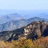 花呗、白条、信用卡分期，哪个更坑？