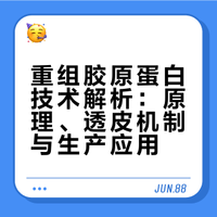 重组胶原蛋白技术解析：原理、透皮机制与生产应用