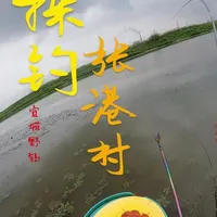 4月野钓技巧：短竿钓浅与选位策略实战解析