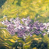 谷雨 | 打花脸、丢卣卣,4月18日-20日相约肇兴侗寨,畅享民俗非遗!