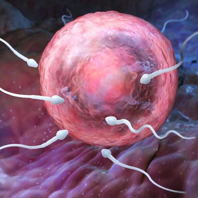 男性一生最多只能排6000次精？关于精液的秘密，男性朋友不妨了解