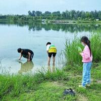 周末把孩子变成小海盗！抓鱼、泥巴和那些笑出声的成长瞬间