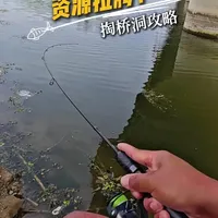 路亚掏桥洞实战攻略：从选位到操作的系统性教学