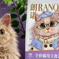 三个月幼猫软便别急着乱补，这篇朗诺小99使用评测把换粮顺序讲透