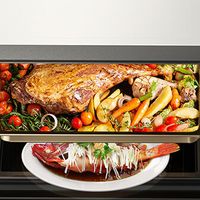 什么品牌的微蒸烤一体机性价比高？4款高性价比机型实测