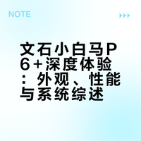 文石小白马p6+我的想要我得到！