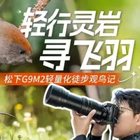 松下G9M2轻量化徒步观鸟体验：便携与画质的平衡
