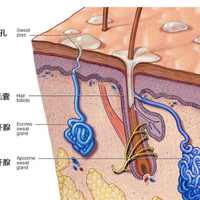 止汗露根本治不了狐臭，选对成分才能精准抑味