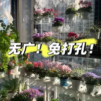 手残党爆改小阳台！洗衣晾晒养花收纳我都要