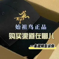 始祖鸟购买渠道全攻略：官方与第三方平台对比分析