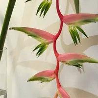 来看天才们家居装饰:越不着调,越赏心悦目!