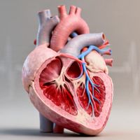 跑者必看：运动中胸闷心悸别硬撑，这份心脏筛查指南能救命