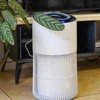 宠物空气净化器十大排名对比，吸猫毛哪个牌子好？让吸毛净味无忧