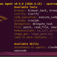 AI NAS养成记 篇零：小龙虾（OpenClaw）最大对手？两种方案，教你在NAS上部署Hermes