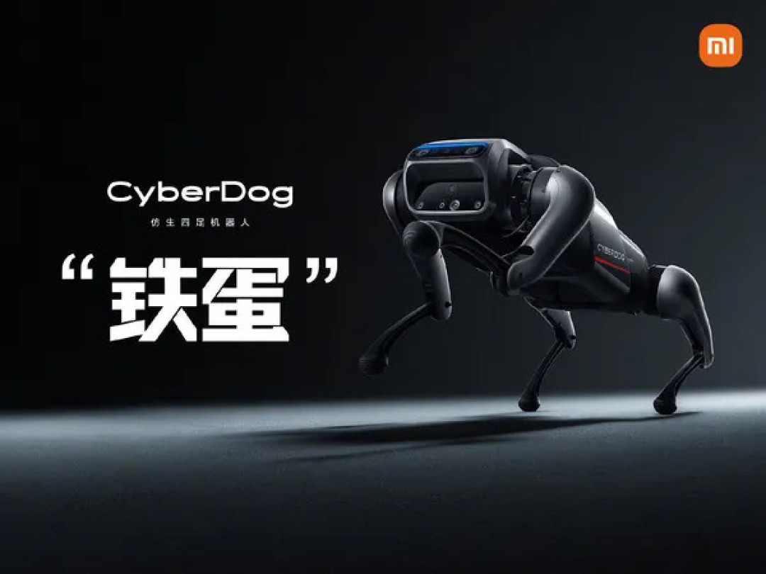 造车成功之后,雷军的下一个百亿战场瞄准机器人