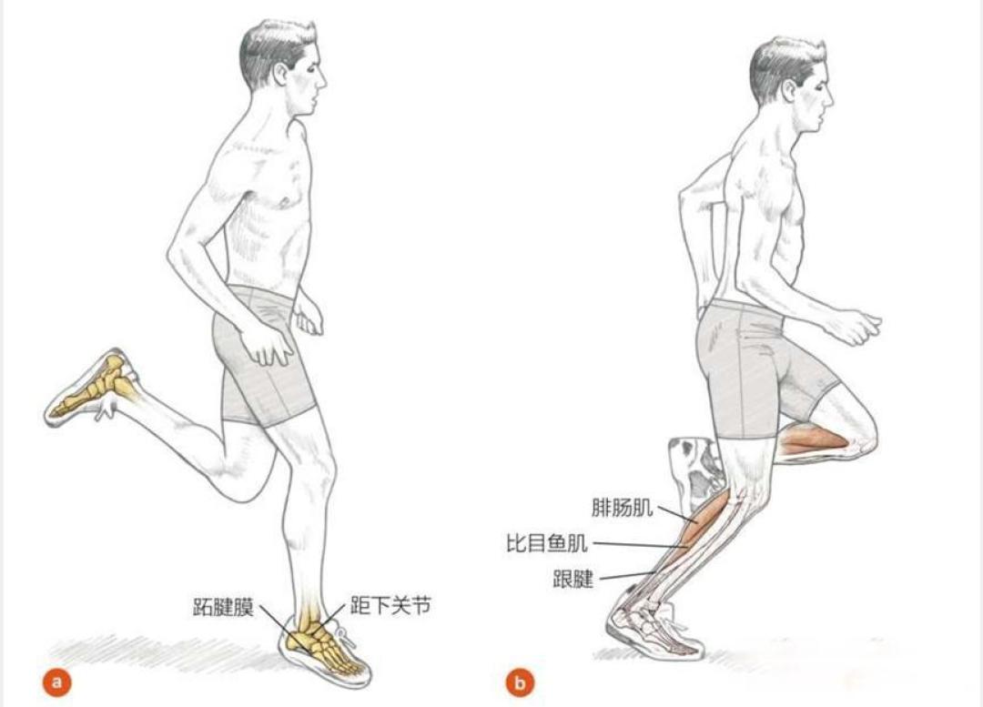 跑者必读:疼痛不是意志力考验,是身体发出的求救信号