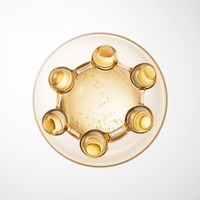 熬夜肌自救指南：如何在“糖化”与“垮塌”之间重建秩序