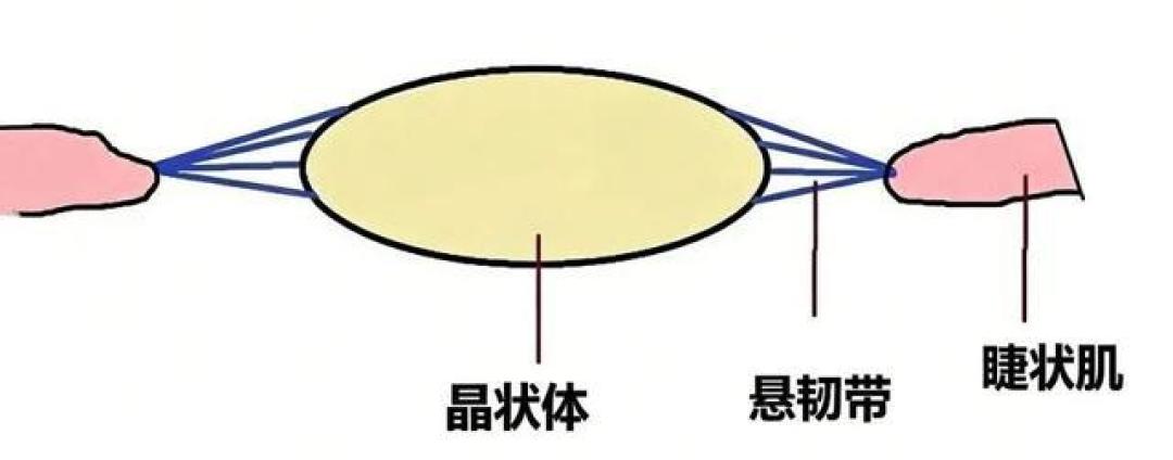 40岁女子按摩后险些失明，医生警告：这些致命禁区千万别碰